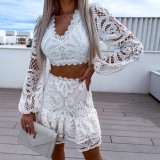 Hollow-Out Lace Fashion Embroidery Set