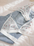Heart Print Mesh Sheer Triangle Bra and Panty Set