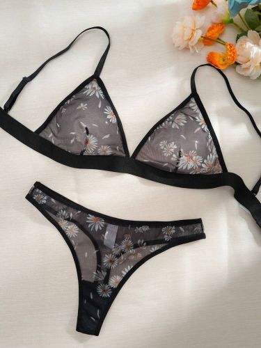 Heart Print Mesh Sheer Triangle Bra and Panty Set