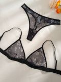 Heart Print Mesh Sheer Triangle Bra and Panty Set