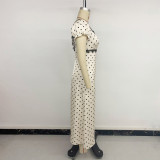 Women’s Resort Polka Dot Puff Sleeve Lace V-Neck Dress