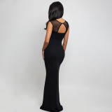 Women's Elegant Sleeveless Solid Dress