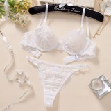 Women's Sexy Ultra-Thin Plaid Lace Lingerie Set