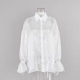 Sheer Black Mesh Lantern Sleeve Shirt for Women