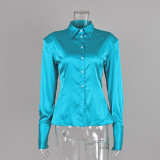Satin Slim-Fit Blouse