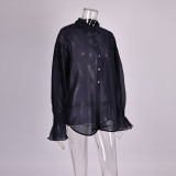 Sheer Long Sleeved Shirt