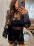 StylishSexy Black Sheer Lace A-line Mini Dress