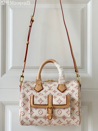 Louis Vuitton Speedy 25 Shoulder Bag