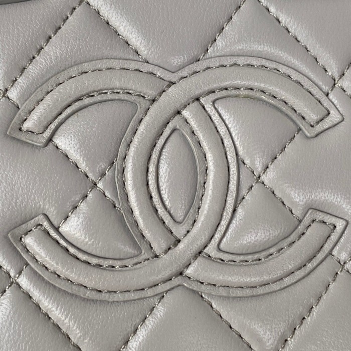 Chanel Gray Make Up Bag