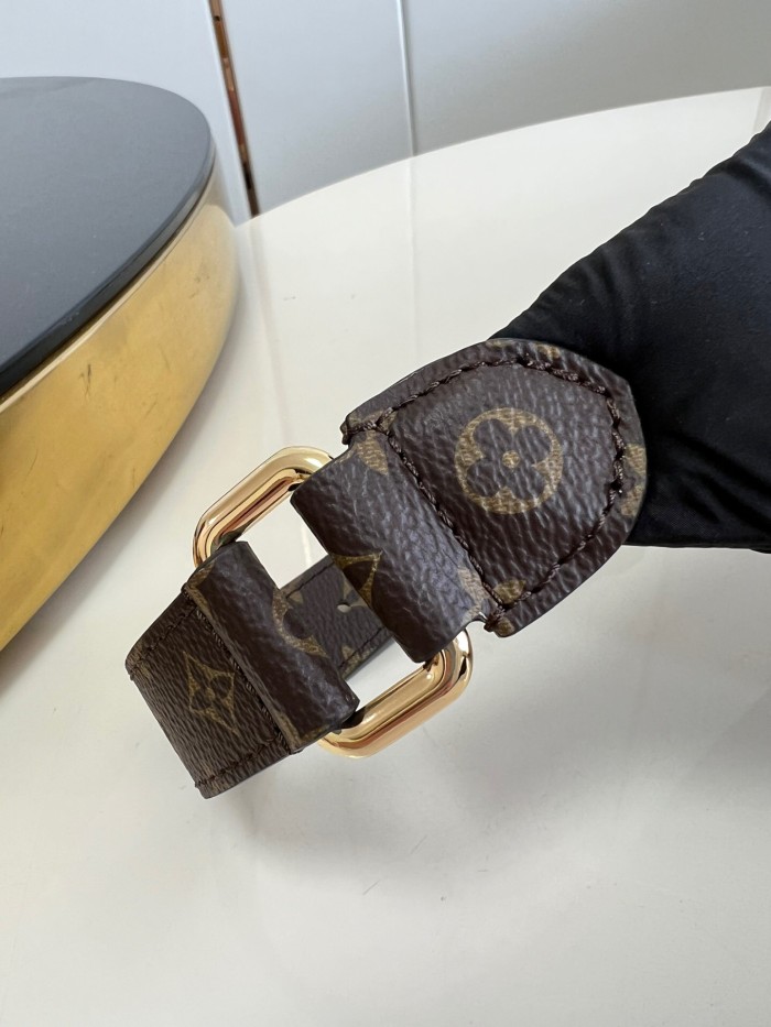 Louis Vuitton Black Belt Bag