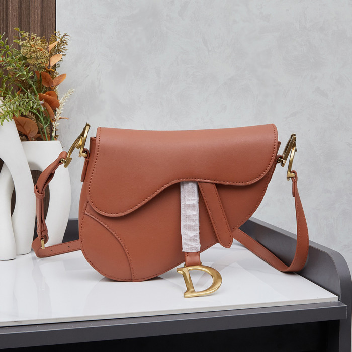 Dior 25cm Anti-IT Saddle bag Single Shoulder Cossbody Designer Bags 