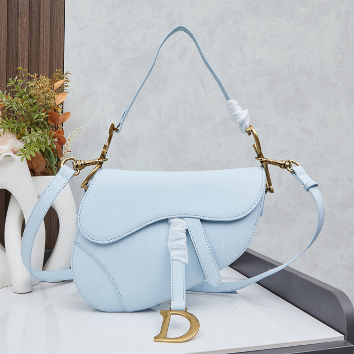 Dior 25cm Anti-IT Saddle bag Single Shoulder Cossbody Designer Bags