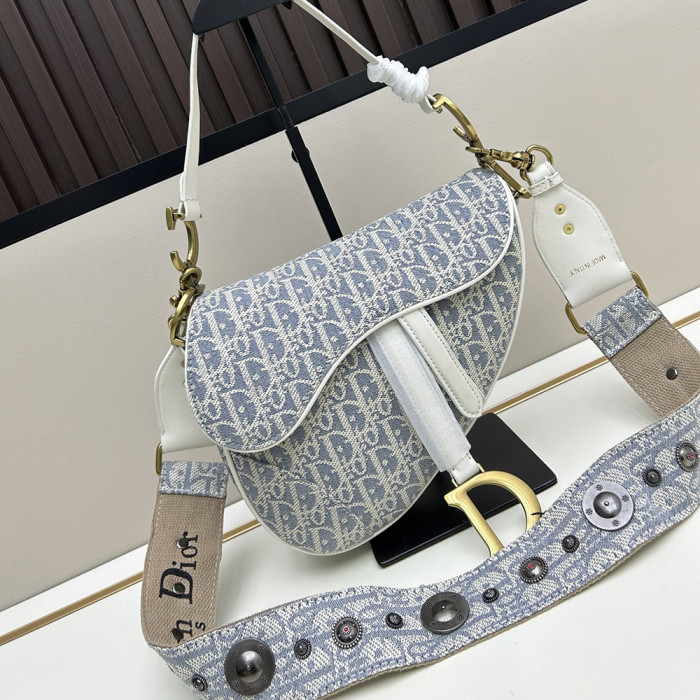 Dior 25cm Anti-IT Saddle bag Single Shoulder Cossbody Designer Bags No Box