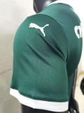 22/23 Palmeiras Home Green Playe  Version Soccer Jersey