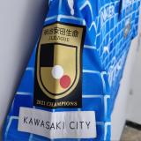 22/23  Kawasaki Frontale Home  Fans version Soccer Jersey 川崎前锋
