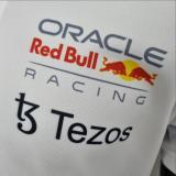 2022 F1 Formula One Red Bull White POLO T-shirt  High Quality F1 红牛赛车服  A10
