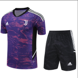 23/24 Juventus training suit Soccer Jersey