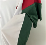 23/24 Fluminense Training Jersey White Fans Soccer Jersey