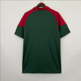 23/24 Fluminense Training Jersey White Fans Soccer Jersey