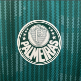 23/24 Palmeiras Special Edition Green  Fan Version Soccer  Jersey