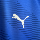 23/24 Goalkeeper Palmeiras Blue Fan Version Soccer  Jersey
