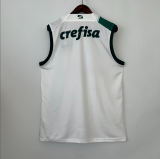 23/24 Palmeiras Vest  Away  Fan Version Soccer  Jersey