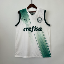 23/24 Palmeiras Vest  Away  Fan Version Soccer  Jersey