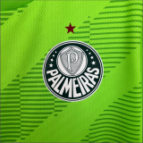 23/24 Palmeiras Goalkeeper  Green Fan Version Soccer  Jersey