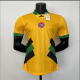 23/24  Bayern Munich  Player Version Soccer Jersey
