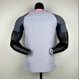 23/24 Tottenham  Training  Player Soccer Jersey