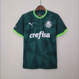 23/24 Palmeiras home Fan Version Soccer Jersey
