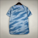 23/24 Corinthians Goalkeeper Blue Fan Version Soccer Jersey