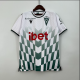 23/24 Santiago Wanderers away Fan Version Soccer Jersey