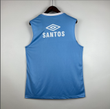 23/24 Gremio vest training suit  Soccer  Jersey