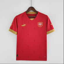 2022  World Cup Serbia home  Fan Version  Soccer Jersey