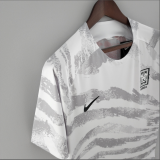 2022  World Cup Korean training suit gray Soccer Jersey