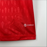 23/24  Brazil International Red Fan Version Soccer Jersey