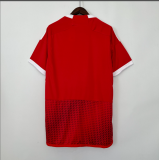 2023 Peru Away  red Soccer Jersey