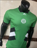 23/24 Celtic Green casual Player Version  Soccer Jersey