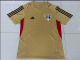 23-24  Sao Paulo Clay yellow training Fan Version  Soccer Jersey
