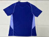 23-24 Cruzeiro purple Training suit Soccer  Jersey