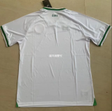 23/24 Celtic Special Edition White Fans Version  Soccer Jersey