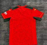23-24 Wolverhampton red  Fans Version  Soccer jersey