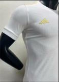 23-24  Italy  Player Version  Anniversary Edition   Soccer Jersey