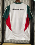 2022 World Cup Mexico Fan Version Soccer Jersey