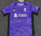 23/24 LIV Fan Version  away purple Soccer Jersey
