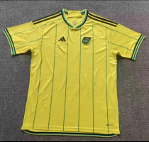 2023 Jamaica  home   Fans Version Soccer Jersey