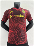 23/24 Seattle Sounders FC Bruce Lee commemorative edition Soccer Jersey