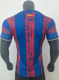 23-24  Barcelona  classic Player Version  Soccer Jersey