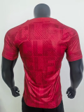23/24  Liverpool training suit Player  Version Soccer jersey
